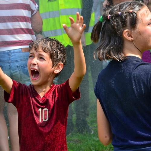 Photo #12431076