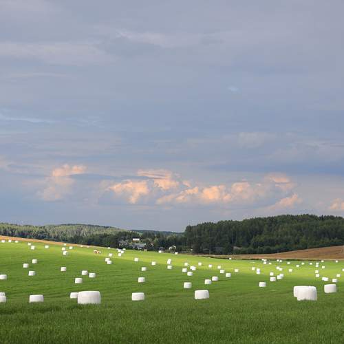 Photo #12431137