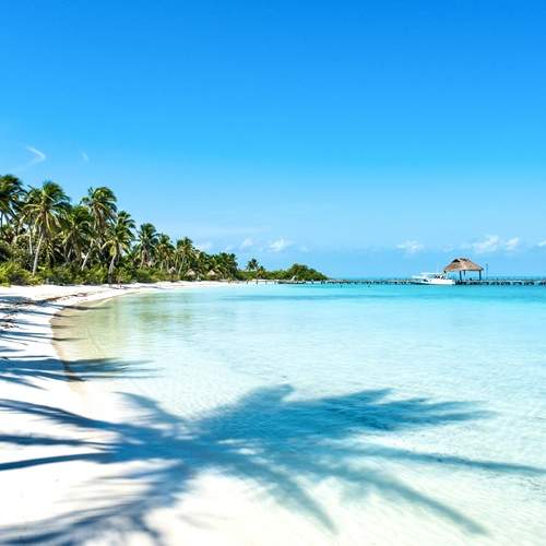 Photo #12431453