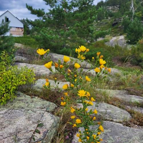 Photo #12431984