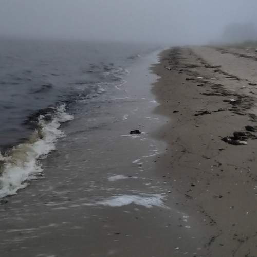 Photo #12432560
