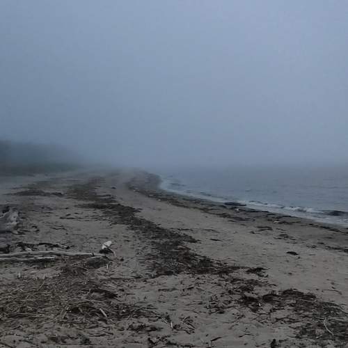 Photo #12432563