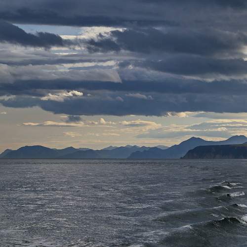Photo #12432575