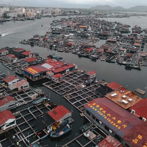 Photo #12432795
