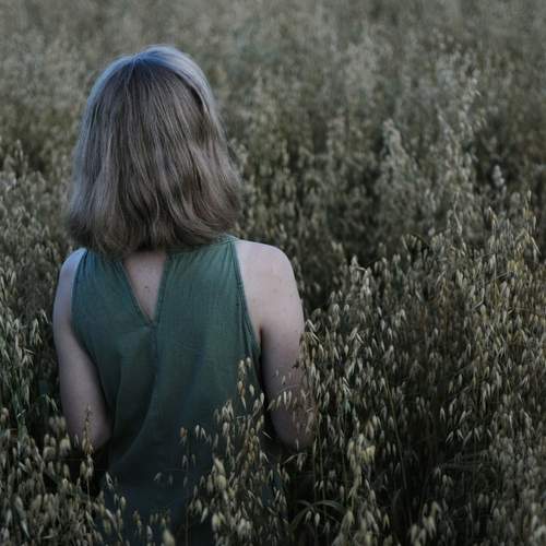 Photo #12432892