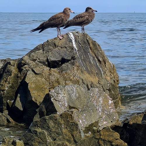 Photo #12433222