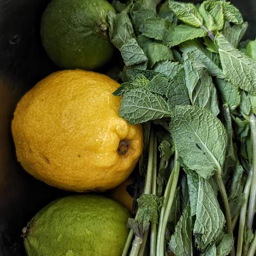 Photo #12433231