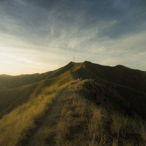 Photo #12433233