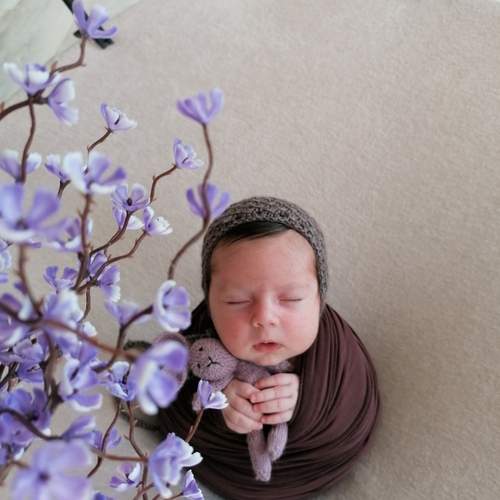 Photo #12433464