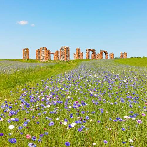 Photo #12433466