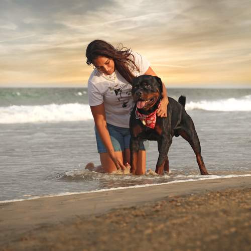 Photo #12433481