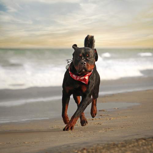 Photo #12433614