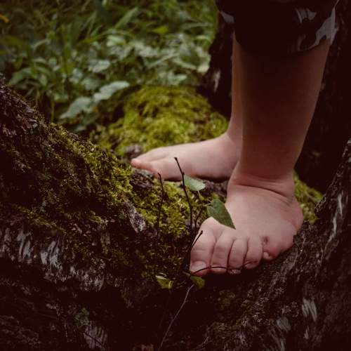 Photo #12433687