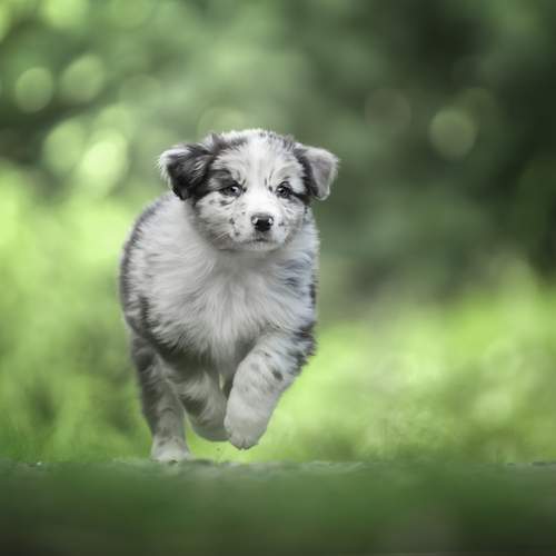 Фотография #12433884