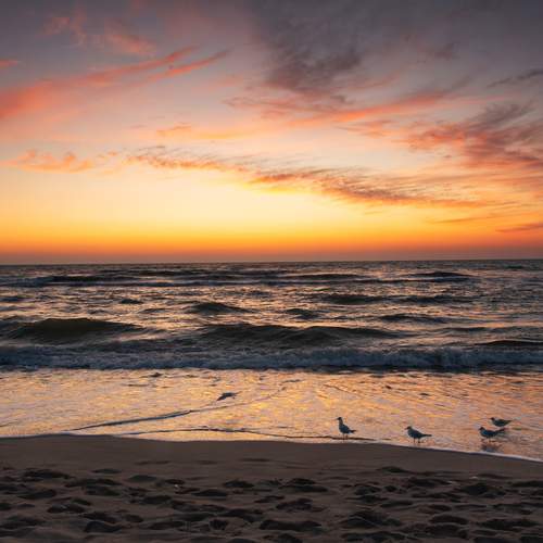 Photo #12433926