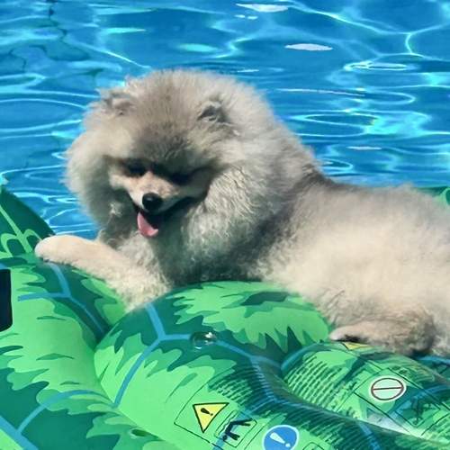 Photo #12434296