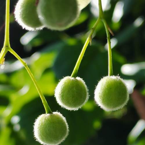 Photo #12434373