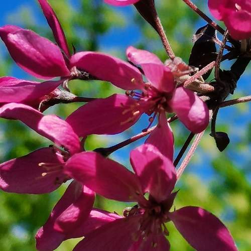 Photo #12434424