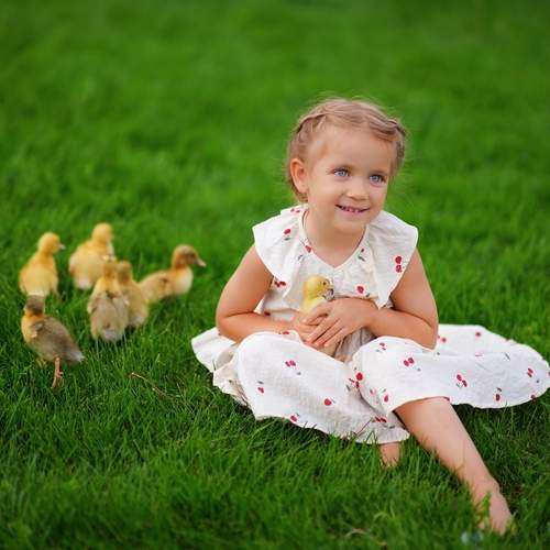 Photo #12434518