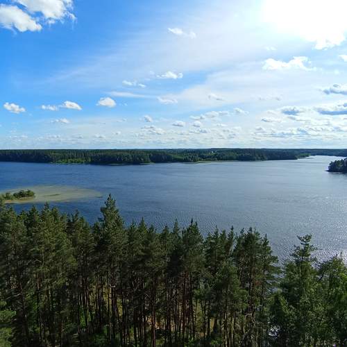 Photo #12434777