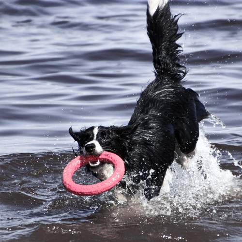 Фотография #12435226