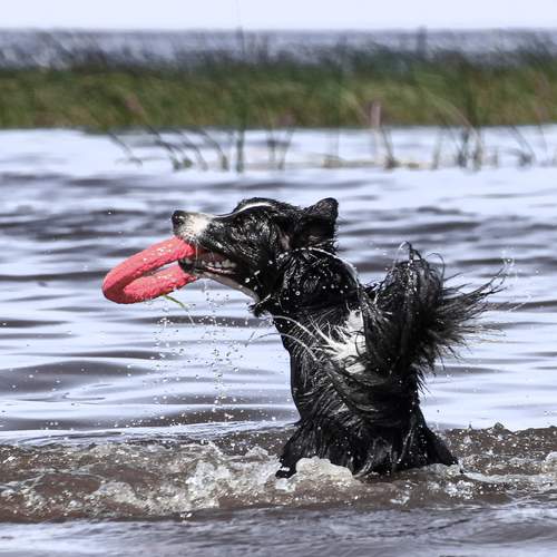 Фотография #12435227