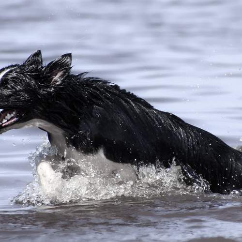 Фотография #12435231