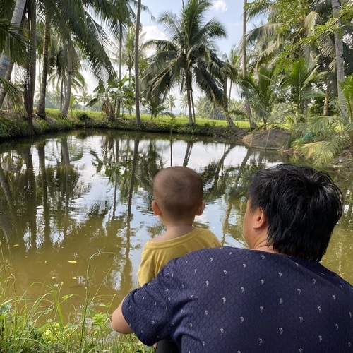 Photo #12435252