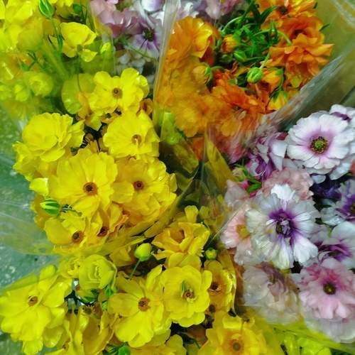 Photo #12435316