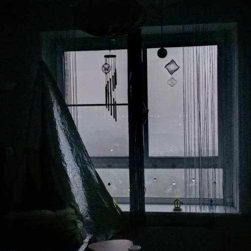 Photo #12435410