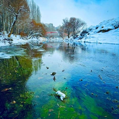 Photo #12435594