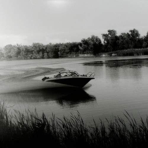 Photo #12435675