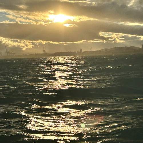 Photo #12435893
