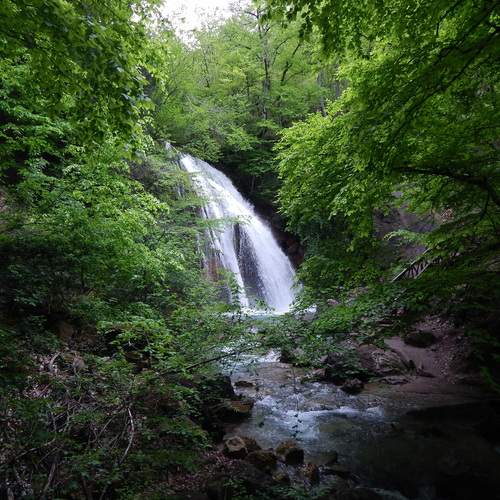 Photo #12435977