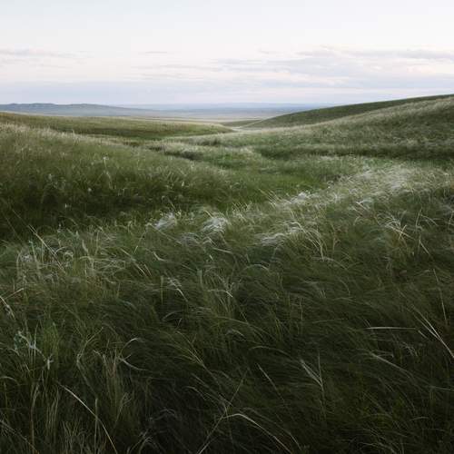 Photo #12436162