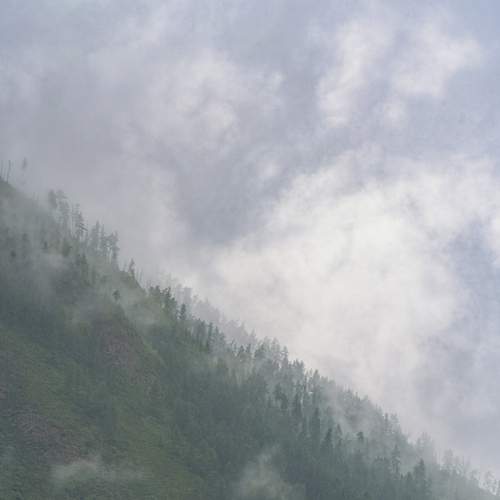 Photo #12436177