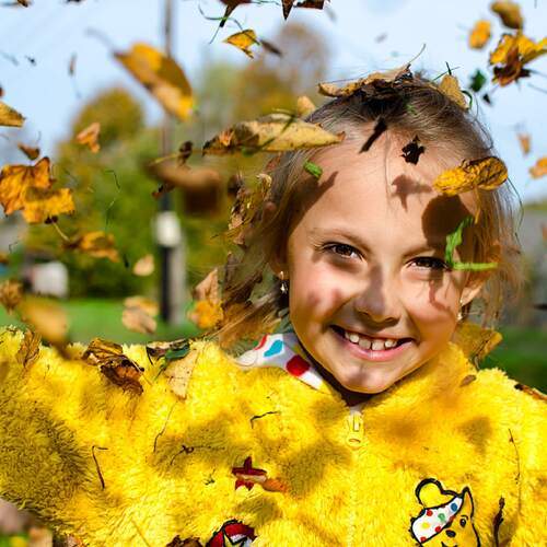 Photo #12436265