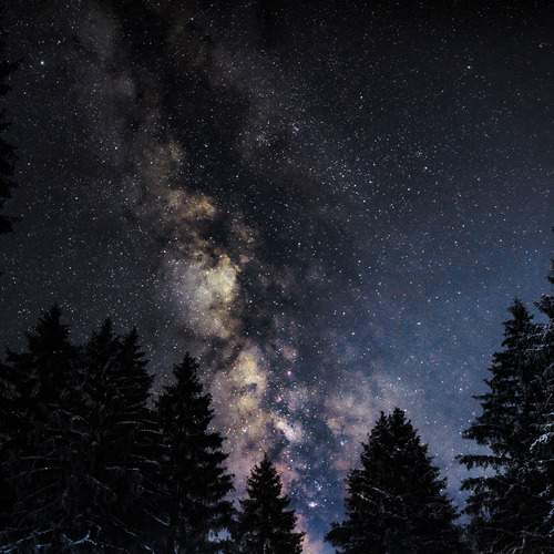 Photo #12436381