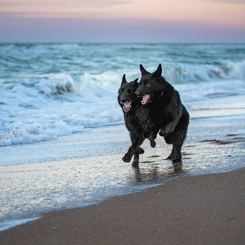 Photo #12436442