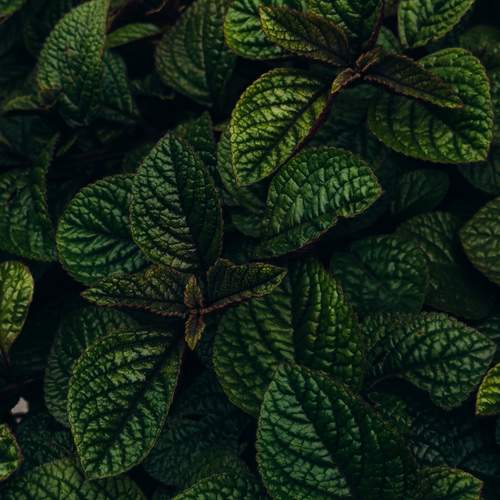 Photo #12436528