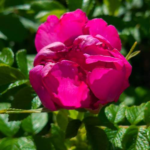 Photo #12436710