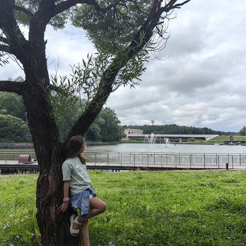 Photo #12436834