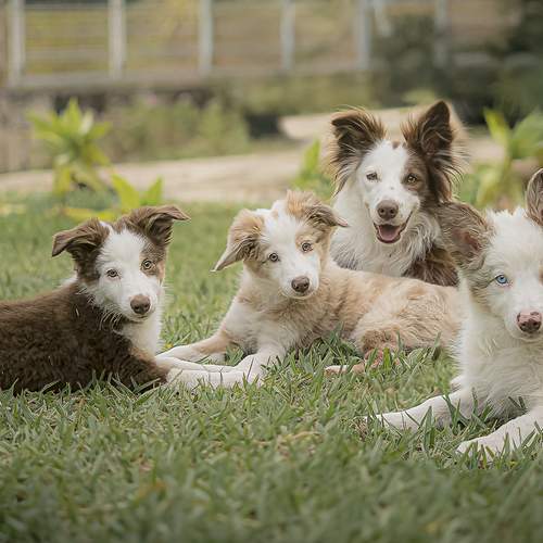 Photo #12437058
