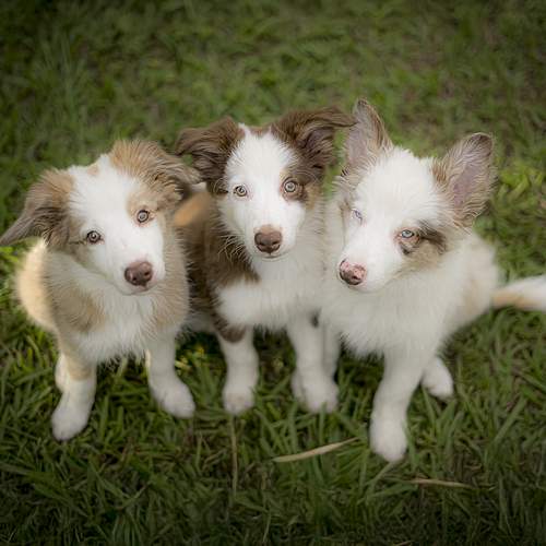 Photo #12437078