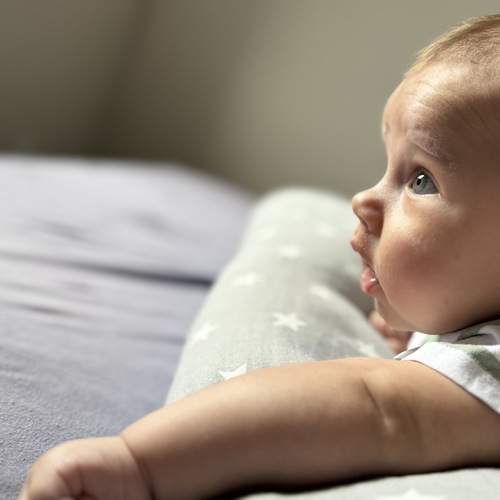 Photo #12437804