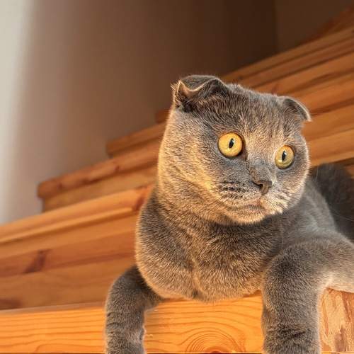 Photo #12437831
