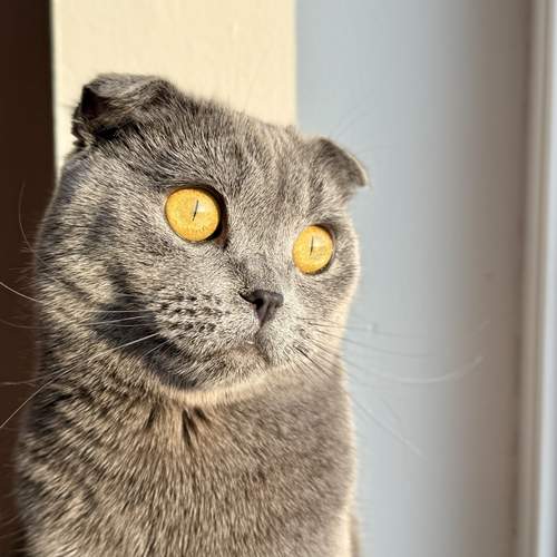 Photo #12437832