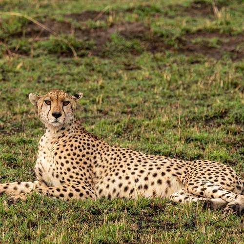 Photo #12437854