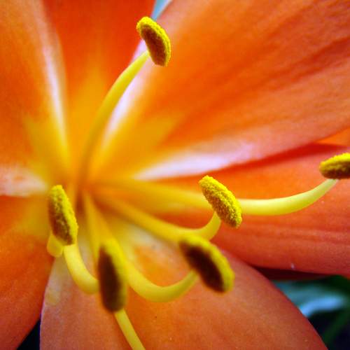 Photo #12438123