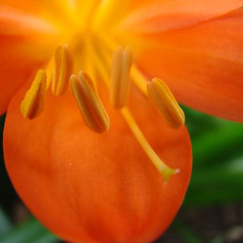 Photo #12438126